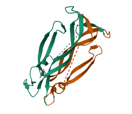 CD200